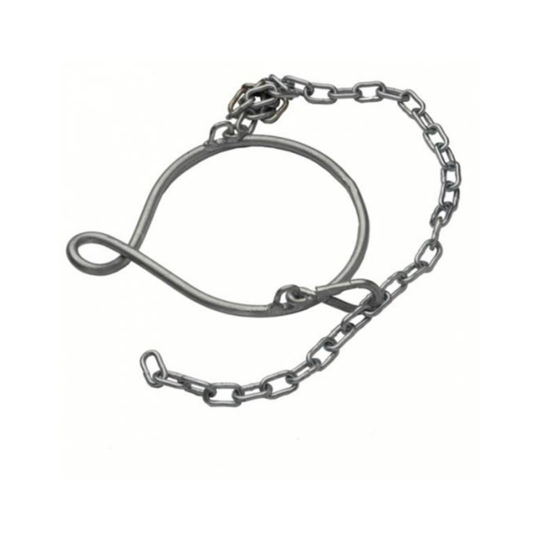 Showtime Metal Training Halter - Calf